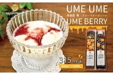 UMEUME（梅）・UMEBERRY（梅ベリー） 丹波・梅ピューレ 京都 丹波 完熟梅 無添加 5倍希釈 315ml　[014WT001]