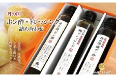 丹の国梅ポン酢・梅ドレッシング詰め合わせ ぽん酢 完熟梅 京都 丹波 ギフト 詰め合わせ　[015WT001]