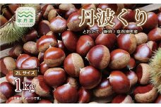 ≪数量限定≫丹波くり とれたて 1kg 京都 京丹波町産 栗【大粒 和栗 国産栗 地域限定 丹波栗 くり 栗 栗ご飯】 ※北海道・沖縄・その他離島は配送不可 [012IM001L]