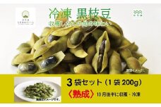 冷凍 丹波黒枝豆 熟成 600g（200g×3パック）  国産 京都 丹波 黒豆 えだまめ ビール おつまみ ※北海道・沖縄・その他離島は配送不可 [010KY002]