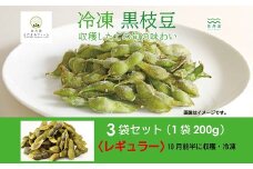 冷凍 丹波黒枝豆 レギュラー 600g（200g×3パック）  国産 京都 丹波 黒豆 えだまめ ビール おつまみ ※北海道・沖縄・その他離島は配送不可 [010KY001]