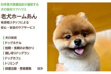 老犬ホーム あん施設利用券（6,000円分） 犬専用総合ケアハウス 愛犬愛護活動　[020RA001]