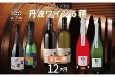 【定期便】丹波ワイン 6種 12カ月 定期便  【 丹波ワイン 国産ぶどう使用 国産ワイン 京都 丹波 自社農園 白ワイン 赤ワイン ロゼ スパークリングワイン ワイン 】 ※北海道・東北・沖縄は配送不可 [251SJ001R]