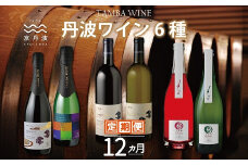 【定期便】丹波ワイン 6種 12カ月 定期便  【 丹波ワイン 国産ぶどう使用 国産ワイン 京都 丹波 自社農園 白ワイン 赤ワイン ロゼ スパークリングワイン ワイン 】 ※北海道・東北・沖縄は配送不可 [251SJ001R]