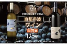 【定期便】丹波ワイン 12カ月 定期便  【 丹波ワイン 国産ぶどう使用 国産ワイン 京都 丹波 自社農園 白ワイン 赤ワイン ワイン 】 ※北海道・東北・沖縄・その他離島は配送不可 [340SJ001R]