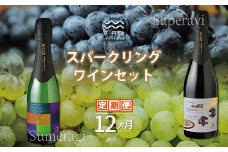 【定期便】スパークリングワイン 12カ月 定期便 【 丹波ワイン 国産ぶどう使用 国産ワイン 白ワイン 赤ワイン ワイン 】 ※北海道・東北・沖縄は配送不可　[225SJ001R]