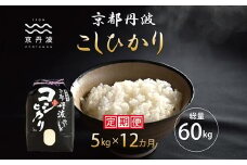 【12カ月定期便】 京丹波こしひかり 5kg×12カ月連続 合計60kg 令和7年産 新米 京都 米 精米 コシヒカリ ※北海道・東北・沖縄・その他離島は配送不可 [120MB001R]