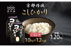 【12カ月定期便】 京丹波こしひかり 10kg×12カ月連続 合計120kg 令和7年産 新米 京都 米 精米 コシヒカリ ※北海道・東北・沖縄・その他離島は配送不可 [216MB001R]