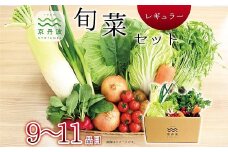 京丹波 旬菜セット レギュラー 9～11品目 野菜 詰め合わせ 京都 丹波 京丹波町産 産地直送 京野菜 減塩 レシピ ※北海道・沖縄・その他離島は配送不可 [012KK002]