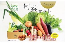京丹波 旬菜セット プレミアム 10～12品目 卵付き 野菜 たまご 詰め合わせ 京都 丹波 京丹波町産 産地直送 京野菜 減塩 レシピ ※北海道・沖縄・その他離島は配送不可 [015KK003]