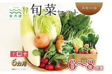 【6回定期便】 京丹波 旬菜セット スモール 6～8品目 《6カ月定期便》 定期便 野菜 詰め合わせ 京都 丹波 京丹波町産 産地直送 京野菜 減塩 レシピ ※北海道・東北・沖縄・その他離島は配送不可 [060KK001R]