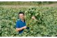 熟練農家が丹精込めた京丹波産の野菜をぜひ一度、お試しください！