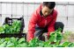 熟練農家が丹精込めた京丹波産の野菜をぜひ一度、お試しください！