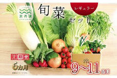 【6回定期便】 京丹波 旬菜セット レギュラー 9～11品目 《6カ月定期便》 定期便 野菜 詰め合わせ 京都 丹波 京丹波町産 産地直送 京野菜 減塩 レシピ ※北海道・東北・沖縄・その他離島は配送不可 [072KK001R]