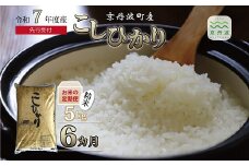 【6回定期便】 《 新米先行予約 》2025年10月発送開始 こしひかり 京丹波町産 5kg 6カ月定期便 合計30kg 令和7年産米 精米 お米 京都 丹波 コシヒカリ 特A獲得  農家直送 ※北海道・東北・沖縄・その他離島は配送不可 [048OK001R]