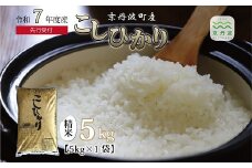 《 新米先行予約 》2025年10月発送開始 こしひかり 京丹波町産 5kg 令和7年産米 精米 お米 京都 丹波 コシヒカリ 特A獲得 農家直送 ※北海道・沖縄・その他離島は配送不可 [008OK001]