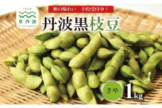《 先行予約 》丹波黒枝豆 さや 1kg（京都 京丹波町産 丹波黒大豆）≪秋だけの期間限定 数量限定≫【季節限定 おつまみ 枝豆 えだまめ 地域限定 黒豆 ご当地グルメ 特産品】※北海道・沖縄・その他離島は配送不可 [008KK001L]