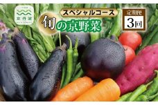 【3回定期便】旬の京野菜　毎月お届けスペシャルコース（全3回） 《野菜定期便 野菜詰め合わせ 野菜セット 京野菜 旬の野菜 新鮮野菜 有機野菜 減農薬》 ※沖縄・その他離島は配送不可 [045KH001R]