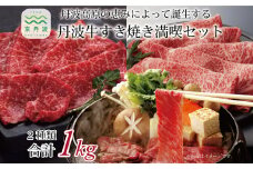 丹波牛すき焼き満喫セット ( 和牛 黒毛和牛 京都 丹波 丹波牛 牛肉 すき焼き 鍋 霜ふり 赤身 赤身肉 ) [072IZ001] 