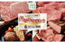 【6回定期便】丹波牛を味わう定期便 6カ月連続 定期便 ( 定期便 和牛 黒毛和牛 京都 丹波 丹波牛 牛肉 すき焼き 焼肉 しゃぶしゃぶ 鍋 ステーキ A5 サーロイン ローストビーフ ハンバーグ 手作り 霜ふり 赤身 赤身肉 ) ※北海道・沖縄・その他離島への配送不可 [168IZ001R] 