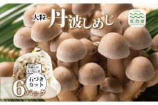 大粒丹波しめじ 石づきカット 6袋セット （ 国産 京都 きのこ キノコ 丹波 しめじ はたけしめじ 大粒 カット 食感 シャキシャキ 天ぷら 鍋 炒め物 ） ※北海道・沖縄・その他離島への配送不可 [010MK003]