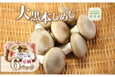 大黒本しめじ 京柄 6パックセット （ 国産 京都 きのこ キノコ 丹波 しめじ 食感 シャキシャキ 旨味たっぷり 天ぷら 鍋 炒め物 ） ※北海道・沖縄・その他離島への配送不可 [010MK002]