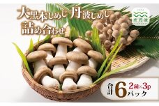 大黒本しめじ 丹波しめじ 詰め合わせ  （ 国産 京都 きのこ キノコ 丹波 しめじ 本シメジ はたけしめじ カット 食感 シャキシャキ 旨味たっぷり 天ぷら 鍋 炒め物 ） ※北海道・沖縄・その他離島への配送不可 [010MK004]