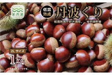 ≪数量限定≫ 丹波くり 低温熟成 1kg 京都 京丹波町産 栗【大粒 和栗 国産栗 地域限定 丹波栗 くり 栗 栗ご飯】 ※北海道・沖縄・その他離島は配送不可 [013IM001L]