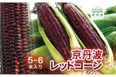 京丹波レッドコーン 5～6本入り 大和ルージュ京都 丹波 大粒 とうもろこし スイートコーン 高糖度 ※北海道・沖縄・その他離島への配送不可 [012NM002]
