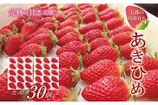 京都・丹波高原育ちのいちご「あきひめ」スモール 30個 （15個×2パック） 京丹波町産 完熟 いちご 甘さ抜群 京都誠志郎農園 ※北海道・東北・沖縄・その他離島は配送不可 [014KS002]