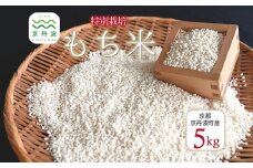 《数量限定》 特別栽培 もち米 5kg 京都 丹波 京丹波町産 餅 もち 糯米 餅米 新羽二重糯 ※北海道・沖縄・その他離島は配送不可 [013AGC001L]