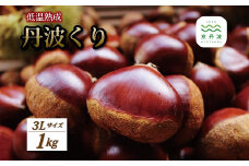 低温熟成 丹波くり 3Lサイズ 1kg ≪ 数量限定 ≫（ 500g×2袋 ） 京丹波町産 国産 京都 丹波 和栗 熟成 栗 くり 甘い 栗ごはん 秋の味覚 ※北海道・沖縄・その他離島への配送不可 [015NK001L]