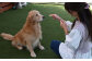 ブリーダーが作る、わんちゃんファーストの健康食