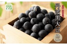 【2024年12月下旬発送 年内発送】京丹波町産　丹波黒大豆 2L 1kg （500g×2袋） お正月 おせち用 京都 丹波黒豆 新豆 生産者限定 令和6年度産 生豆　[029KK001L]