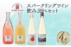 丹波ワイン スパークリングワイン 飲み比べ 4本セット 【 国産 スパークリング ワイン 地ワイン 京都 丹波 無添加 てぐみ 白 ロゼ バラエティ 詰め合わせ 】 [020SJ001]