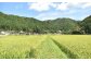 有機質バイオ肥料を使った土壌づくりに取り組み、環境にもやさしい、安心安全な米づくりを行っています。