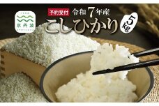 《新米先行予約》 こしひかり 和知のお米 5kg 京都 丹波 京丹波町産 米 コメ コシヒカリ 精米 産地直送 ※北海道・沖縄・その他離島は配送不可 [014MTK001]