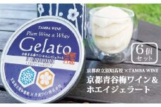 「京都青谷梅ワイン＆ホエイジェラート」6個入り 京都府立須知高等学校×丹波ワインのコラボ企画第2段！ [011TW002]