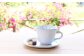 シンプルな白いコーヒーカップ。