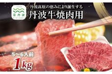 丹波牛 焼肉用 1kg 5～6人前 【 黒毛和牛 国産牛 焼肉 丹波牛 赤身 霜降り 焼肉のタレ付き たれ 京都 丹波 いづつ屋 】 [048IZ001]