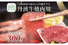 丹波牛 焼肉用 300g 2～3人前 【 黒毛和牛 国産牛 焼肉 丹波牛 赤身 霜降り 焼肉のタレ付き たれ 京都 丹波 いづつ屋 】 [015IZ003]