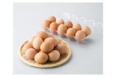 015I22  伊根町産みつの養鶏のたまご[髙島屋選定品］