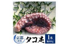 京都府産　タコ足　1本(冷凍:鮮度抜群真空パック)＜共通返礼品＞【1045456】