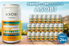 ＜与謝野町産ホップ使用クラフトビール＞ ASOBI(アソビ) 350ml×24本　ペールエール【1248907】