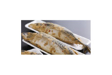 サバヘシコ(特大) 2本 ＜共通返礼品＞　京都丹後の郷土料理「へしこ」　ジューシーで脂の乗りもよい鯖【1262783】