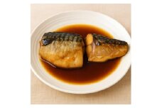 サバ煮つけ　1匹分(4切れ)　＜共通返礼品＞　ジューシーで脂の乗った鯖の煮付けをお手軽な冷凍で【1263999】