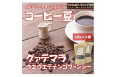 ＜ヨサノロースター＞ コーヒー豆　グァテマラ ウエウエテナンゴファンシー　200g×2　遠赤外線焙煎【1545255】