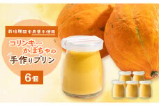 栽培期間中、農薬を使わず自家栽培した「コリンキーかぼちゃ」使用の手作りプリン　6個【1550987】