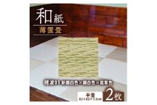 薄置畳2枚 ヘリなし＜穂波01 新銀白色×銀白色×若草色＞フロアタイルとして使用できる置き畳【1557535】