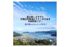 森の美しさを守る 天橋立阿蘇海にそそぐ水を辿る『与謝野森ツアー』森の恵みジビエランチ付き!【1573092】